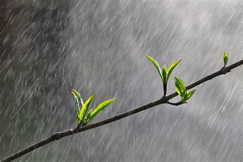 為何會下雨